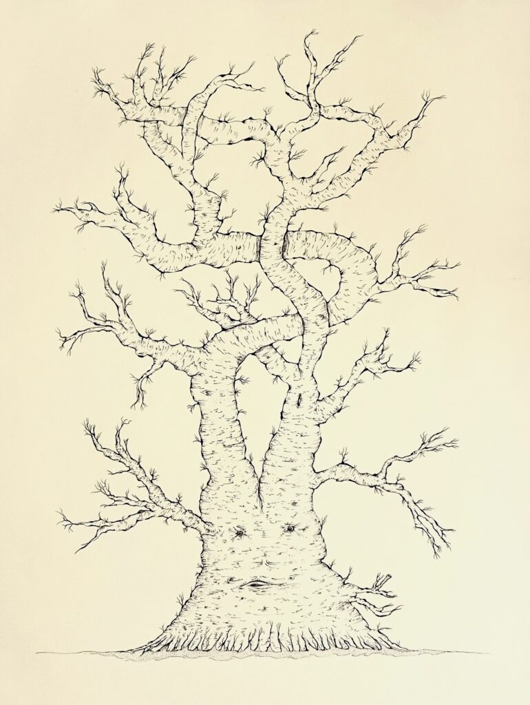 L'arbre double